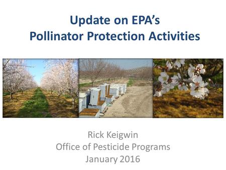 Update on EPA’s Pollinator Protection Activities Rick Keigwin Office of Pesticide Programs January 2016.