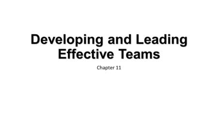 Developing and Leading Effective Teams