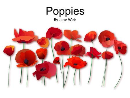 Poppies By Jane Weir.