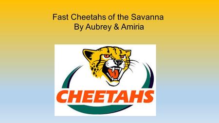 Fast Cheetahs of the Savanna By Aubrey & Amiria. Fast Facts About Cheetahs  They can run as fast as 60 or 70 miles per hour for short distances.  They.