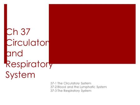 Ch 37 Circulatory and Respiratory System 37-1 The Circulatory System 37-2 Blood and the Lymphatic System 37-3 The Respiratory System.