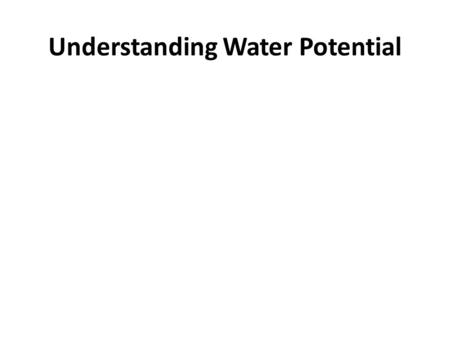 Understanding Water Potential. Water Potential Water potential predicts which way water diffuses through plant tissues and is abbreviated by the Greek.