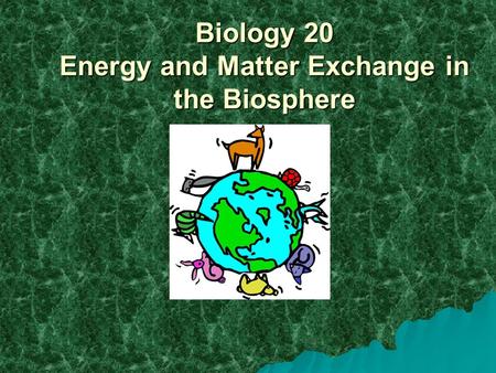 Biology 20 Energy and Matter Exchange in the Biosphere.