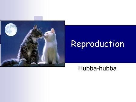 Reproduction Hubba-hubba Sexual & asexual reproduction Asexual  Offspring all have same genes (clones)  No variation Sexual  Gametes (sperm & egg)