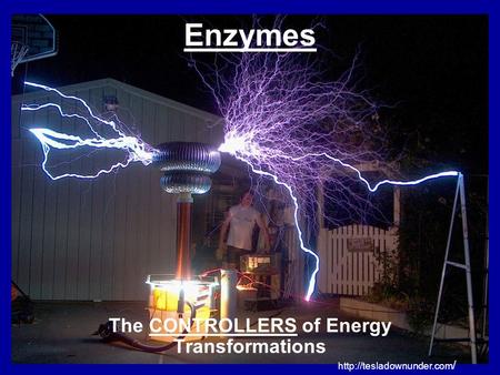 Enzymes The CONTROLLERS of Energy Transformations  /