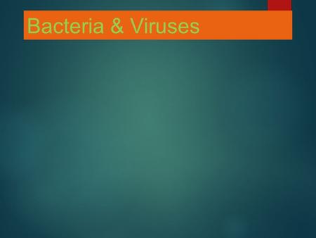Bacteria & Viruses. DO NOW: WHAT ARE THE CHARACTERISTICS OF VIRUSES? BACTERIA? WHAT KINGDOM DO EACH OF THESE BELONG? ARE THEY LIVING? WHY OR WHY NOT ?