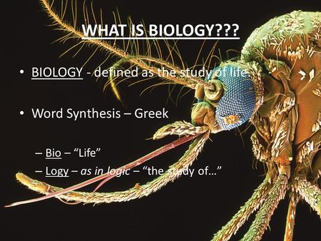 WHAT IS BIOLOGY??? BIOLOGY - defined as the study of life. Word Synthesis – Greek – Bio – “Life” – Logy – as in logic – “the study of…”