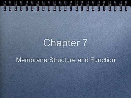 Membrane Structure and Function Chapter 7.  The plasma membrane  Is the boundary that separates the living cell from its nonliving surroundings.