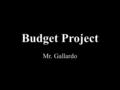Budget Project Mr. Gallardo. Biography Age: 27 Marital Status: Single Children: None Pets: None.