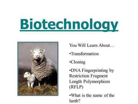 Biotechnology You Will Learn About… Transformation Cloning DNA Fingerprinting by Restriction Fragment Length Polymorphism (RFLP) What is the name of the.