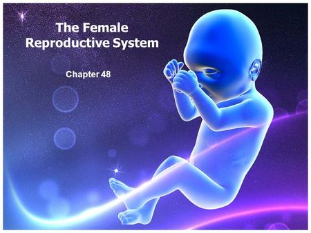 The Female Reproductive System Chapter 48. The Ovaries Produce both the egg cells and sex hormones Made primarily of connective tissue and held in place.