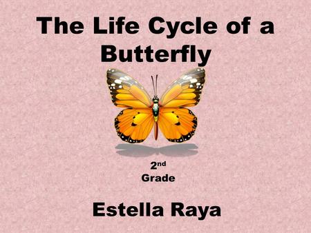 The Life Cycle of a Butterfly Estella Raya 2 nd Grade.