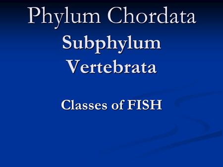Phylum Chordata Subphylum Vertebrata Classes of FISH.
