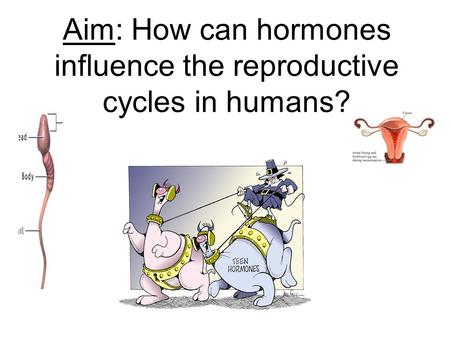 Aim: How can hormones influence the reproductive cycles in humans?
