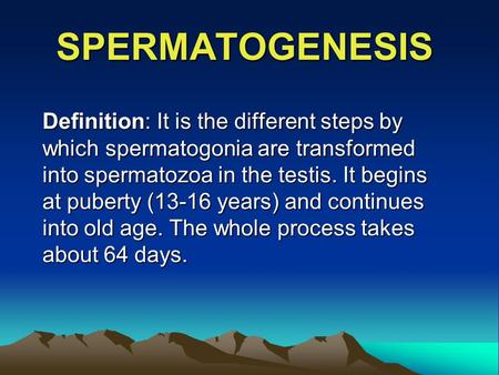 SPERMATOGENESIS Definition: It is the different steps by which spermatogonia are transformed into spermatozoa in the testis. It begins at puberty (13-16.