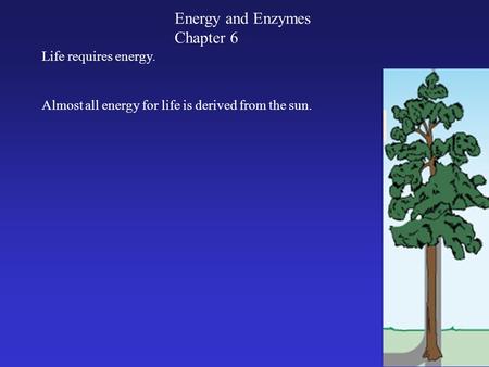 Energy and Enzymes Chapter 6 Almost all energy for life is derived from the sun. Life requires energy.