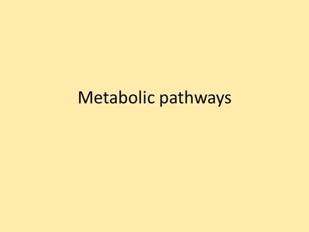 Metabolic pathways. What do we mean by metabolism? Metabolism is the collective term for the thousands of biochemical _________ that occur within a living.