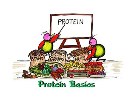 Proteins  Are the most diverse biomolecules. They make up muscles, skin, hair, enzymes, hormones, hemoglobin, and antibodies.  The basic structure unit.