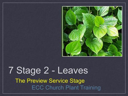 7 Stage 2 - Leaves The Preview Service Stage ECC Church Plant Training.