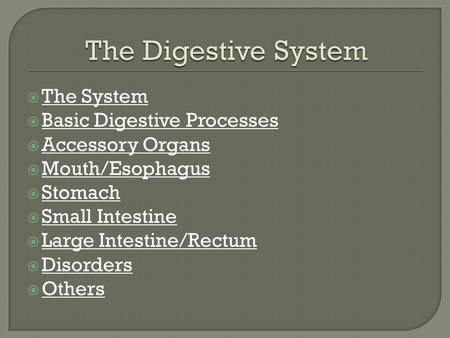  The System The System  Basic Digestive Processes Basic Digestive Processes  Accessory Organs Accessory Organs  Mouth/Esophagus Mouth/Esophagus  Stomach.