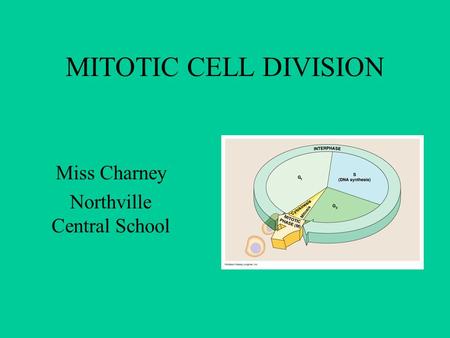 MITOTIC CELL DIVISION Miss Charney Northville Central School.