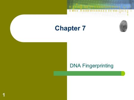 1 Chapter 7 DNA Fingerprinting. Forensic Science: Fundamentals & Investigations, Chapter 7 2 Introduction: Except for _____________, no two people on.