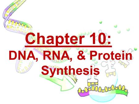 Chapter 10: DNA, RNA, & Protein Synthesis.  KEY CONCEPT – Discovery of DNA DNA was identified as the genetic material through a series of experiments.
