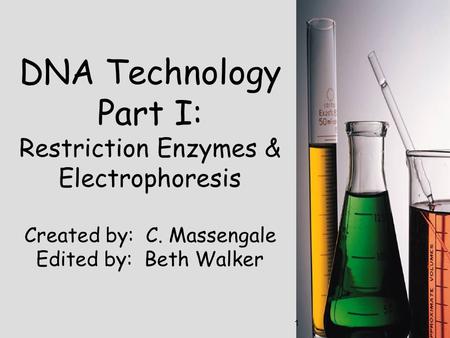1 DNA Technology Part I: Restriction Enzymes & Electrophoresis Created by: C. Massengale Edited by: Beth Walker.