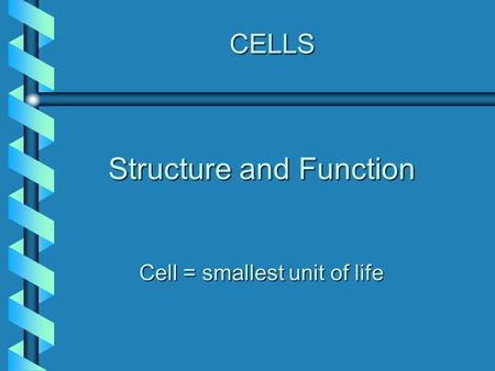 CELLS Structure and Function Cell = smallest unit of life.