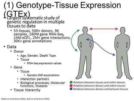 (1) Genotype-Tissue Expression (GTEx) Largest systematic study of genetic regulation in multiple tissues to date 53 tissues, 500+ donors, 9K samples, 180M.