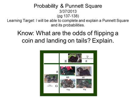 Probability & Punnett Square 3/37/2013 (pg 137-138) Learning Target: I will be able to complete and explain a Punnett Square and its probabilities. Know:
