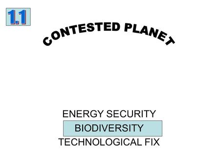 ENERGY SECURITY BIODIVERSITY TECHNOLOGICAL FIX. Can you….. a)Convert this text to a simple flow diagram?