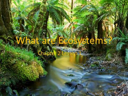 What are Ecosystems? Chapter 2 Lesson 1. Ecosystem An ecosystem is an area where organisms interact with one another as well as with the nonliving parts.