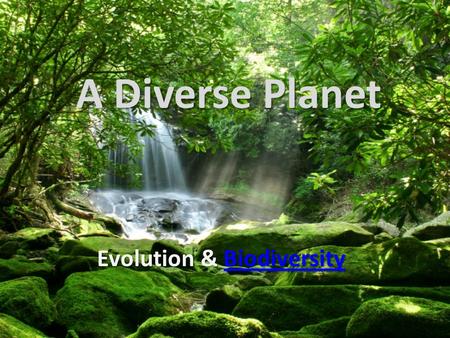 A Diverse Planet Evolution & Biodiversity Biodiversity.