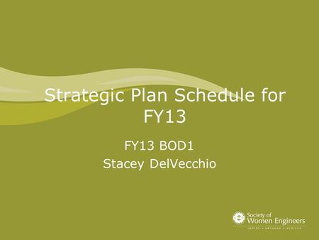 Strategic Plan Schedule for FY13 FY13 BOD1 Stacey DelVecchio.
