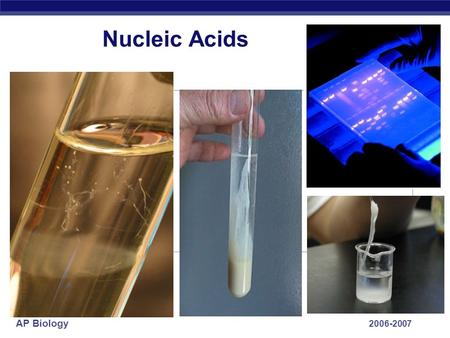 AP Biology 2006-2007 Nucleic Acids AP Biology 2006-2007 Nucleic acids.
