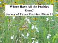 Where Have All the Prairies Gone? Survey of Texas Prairies: Phase II.