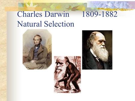 Charles Darwin 1809-1882 Natural Selection. Natural Selection “Survival of the fittest” *Natural Selection 1. There is genetic variation in populations.