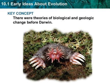 10.1 Early Ideas About Evolution KEY CONCEPT There were theories of biological and geologic change before Darwin.