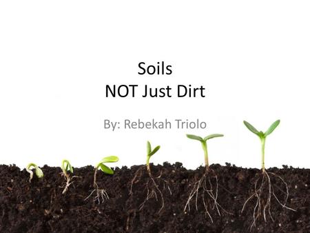 Soils NOT Just Dirt By: Rebekah Triolo. Defining Soil “a natural body consisting of layers (horizons) of mineral and/or organic constituents of variable.