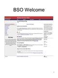 1 BSO Welcome. 2 General Login Attestation 3 BSO Login.