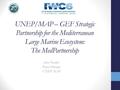 UNEP/MAP – GEF Strategic Partnership for the Mediterranean Large Marine Ecosystem: The MedPartnership Ivica Trumbic Project Manager UNEP/MAP.