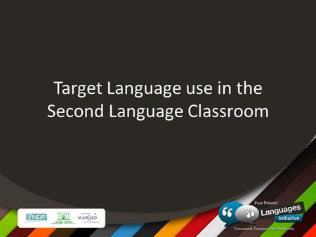 Target Language use in the Second Language Classroom.