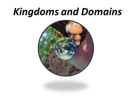 Kingdoms and Domains.