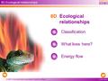 © OUP: To be used solely in purchaser’s school or college 8D Ecological relationships Classification What lives here? Energy flow 8D Ecological relationships.