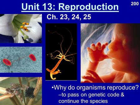 Unit 13: Reproduction Ch. 23, 24, 25 Why do organisms reproduce? –to pass on genetic code & continue the species 200.