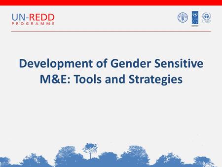 Development of Gender Sensitive M&E: Tools and Strategies.