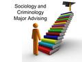 Sociology and Criminology Major Advising. Sociology Curriculum Overview.