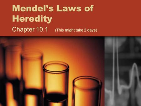 Mendel’s Laws of Heredity Chapter 10.1 (This might take 2 days)
