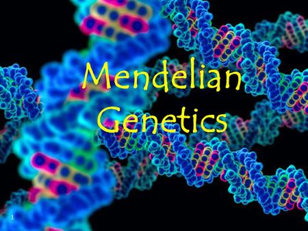 1 Mendelian Genetics. Genetic Terminology copyright cmassengale 2 Heredity – passing of traits from parent to offspring Trait – any characteristic that.